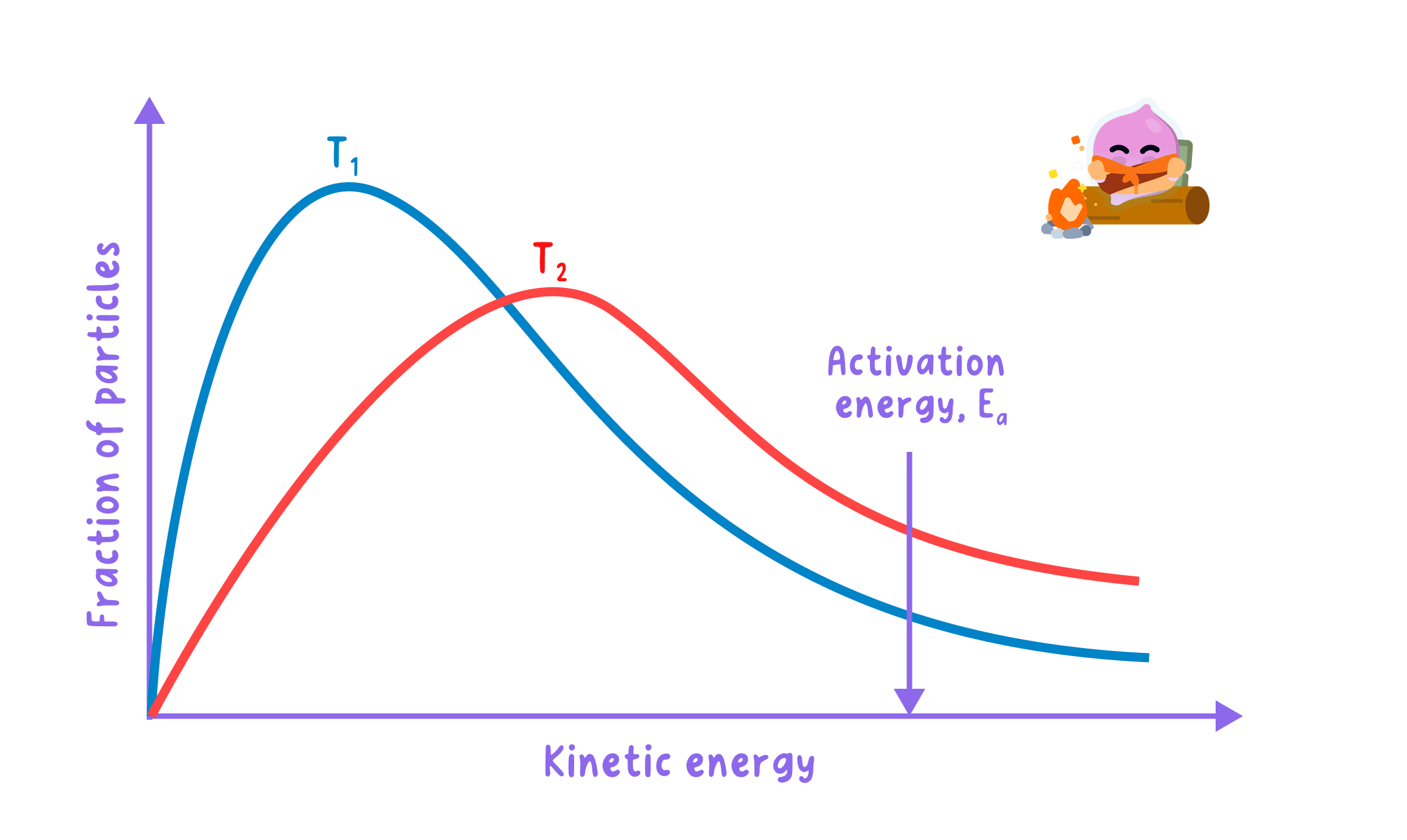 A Maxwell-Boltzmann distribution graph showing the fraction of particles against kinetic energy at two temperatures, T1 and T2. The curve for the higher temperature (T2) is flatter and shifted right, showing a larger proportion of particles have energy greater than the activation energy (Ea).
