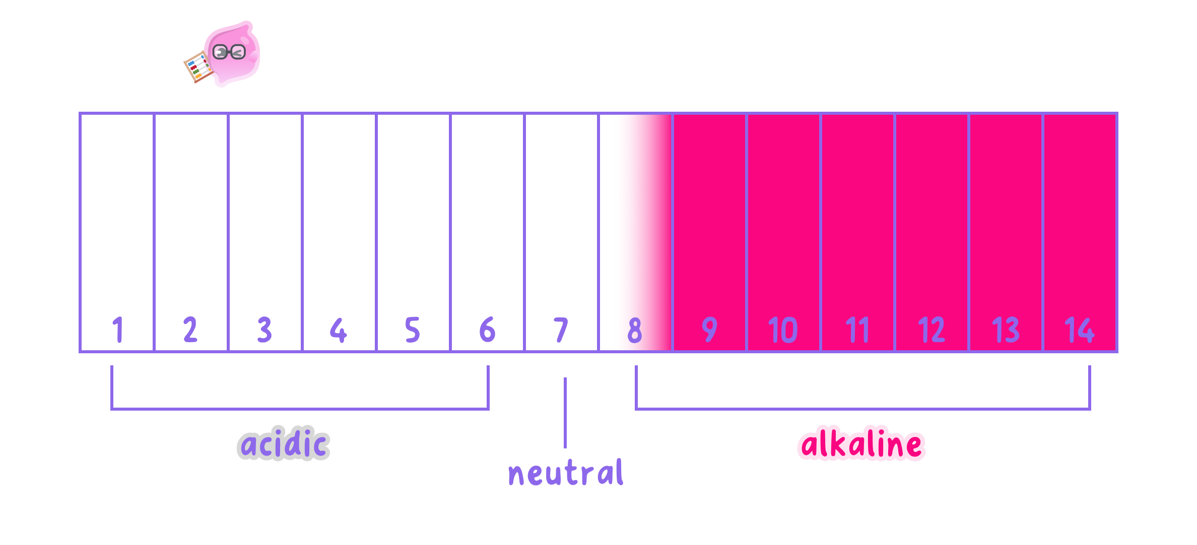 A pH scale from 1 to 14 showing the color change of phenolphthalein. The scale is colorless from pH 1 to 7 (acidic and neutral) and turns pink from pH 8 to 14 (alkaline).