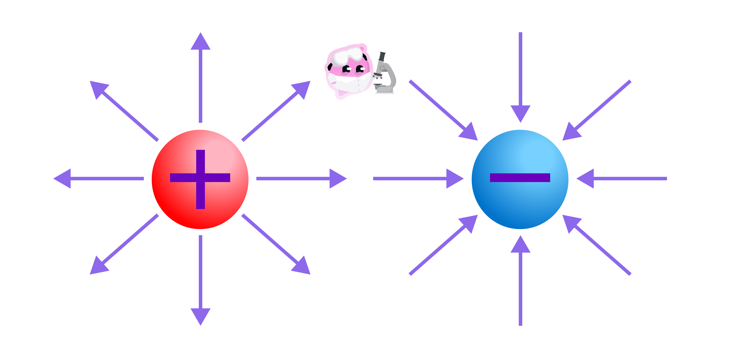 Diagram showing the radial electric field lines around isolated positive and negative point charges. For the positive charge, arrows point outwards; for the negative charge, arrows point inwards.