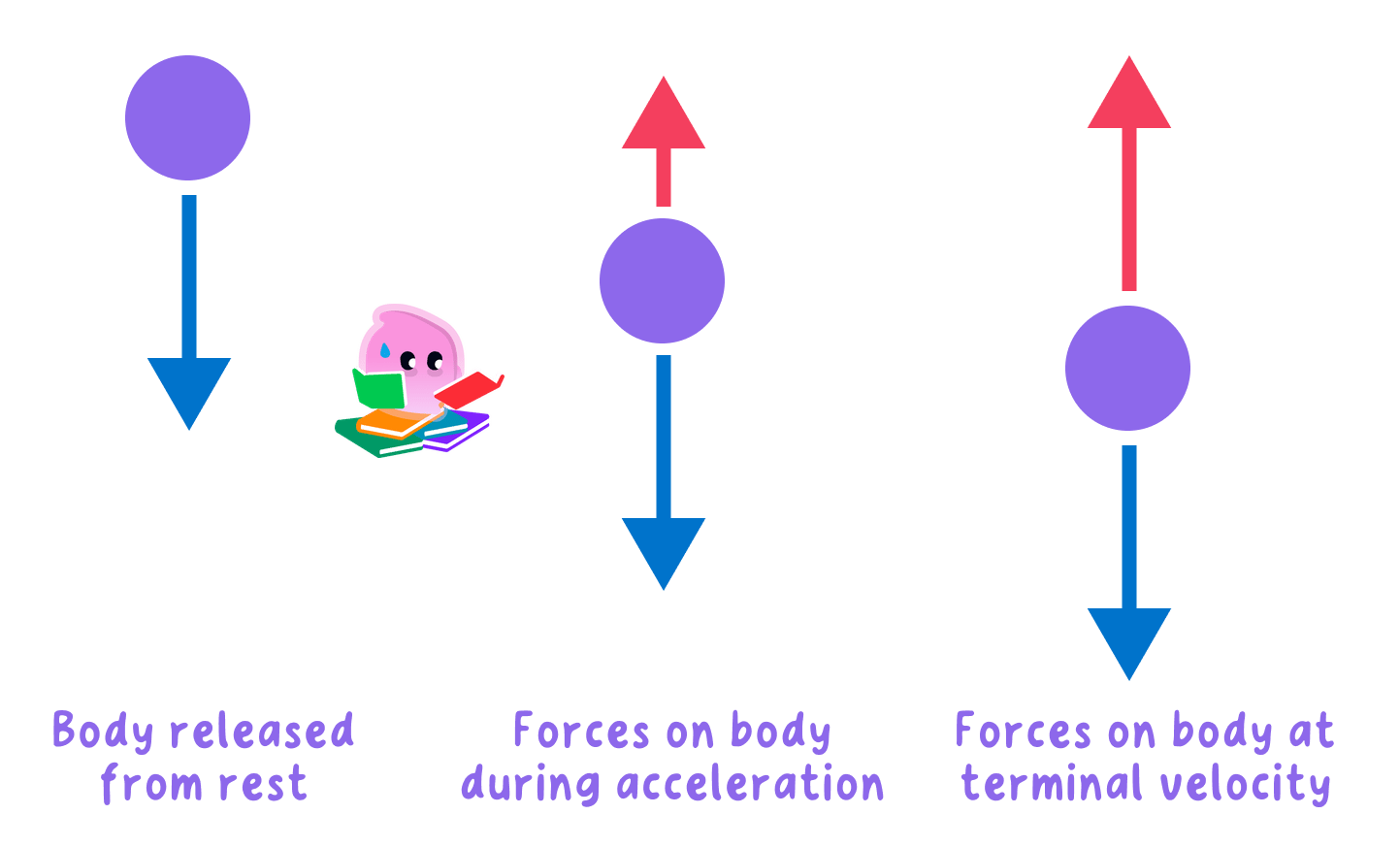 Three free-body diagrams of a falling object: at release, only weight acts downwards; during acceleration, weight is greater than the upward drag force; at terminal velocity, weight and drag are equal and balanced.