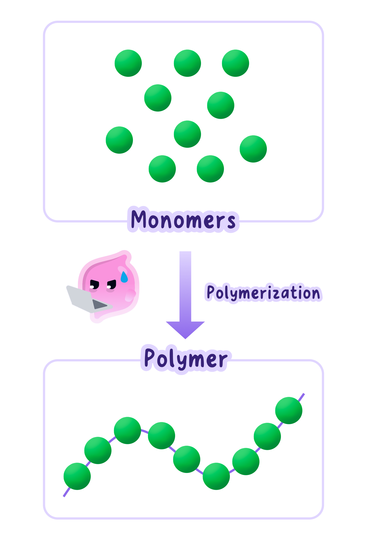A conceptual diagram showing individual monomers joining together through the process of polymerization to form a long-chain polymer.