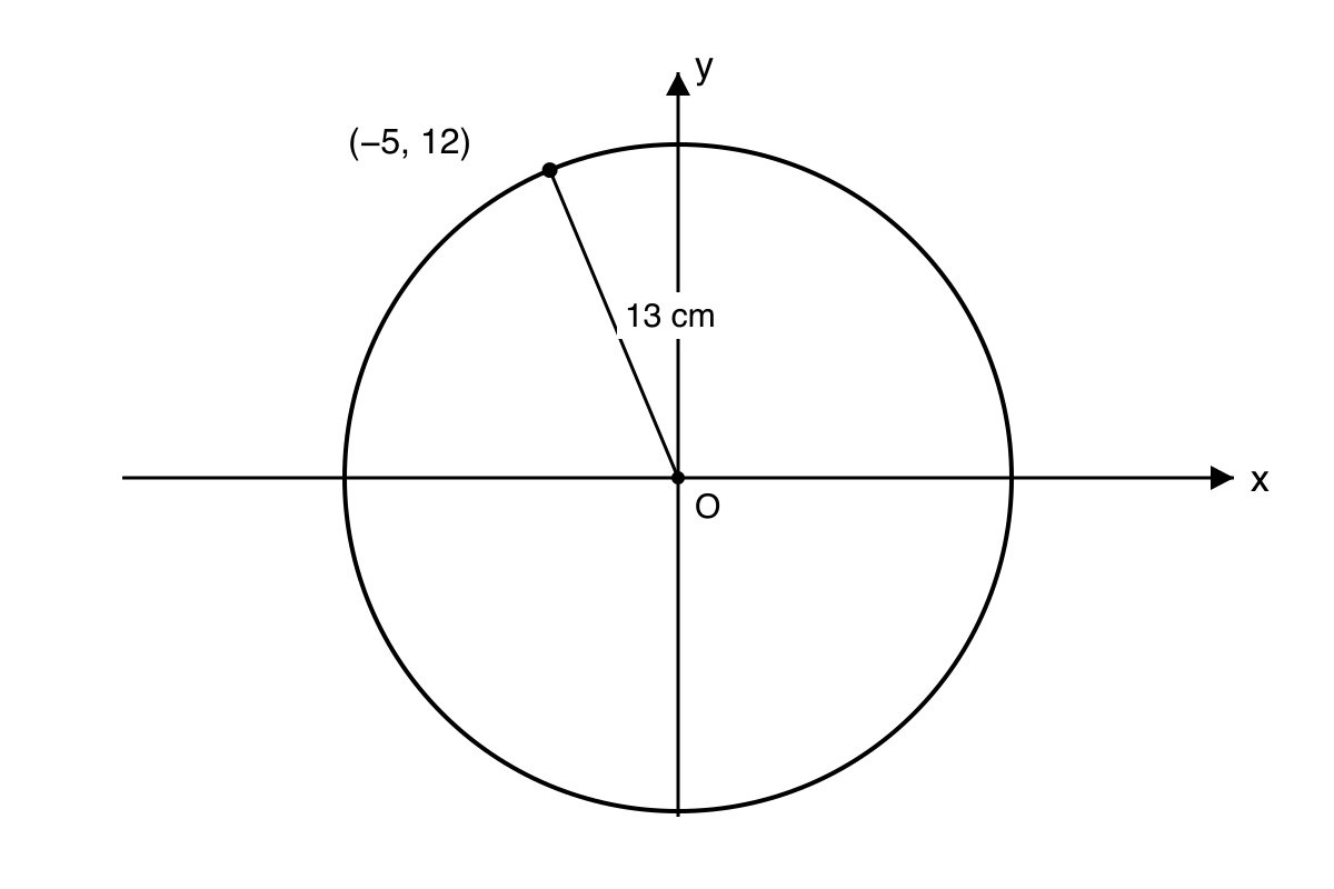 Coordinate axes with a circle centred at the origin, radius 13 cm, and the point negative 5 comma 12 marked on the circle.