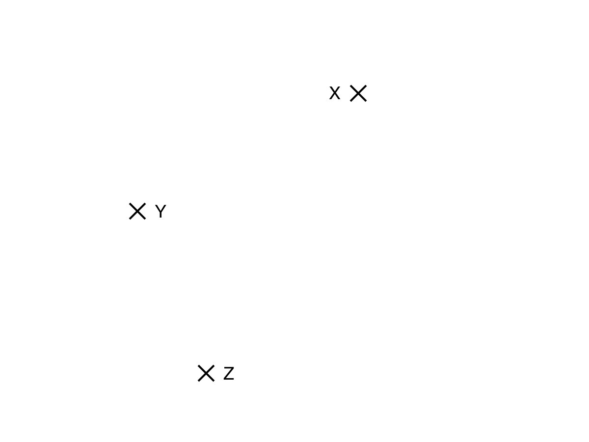 Park map showing landmarks X, Y and Z marked by crosses.