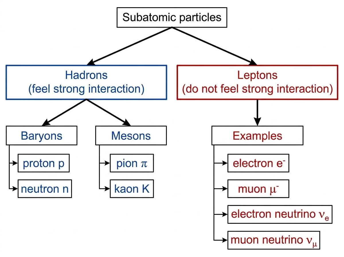 Family tree of subatomic particles splitting into hadrons and leptons, with hadrons branching to baryons and mesons and examples proton, neutron, pion, kaon, electron, muon, and neutrinos