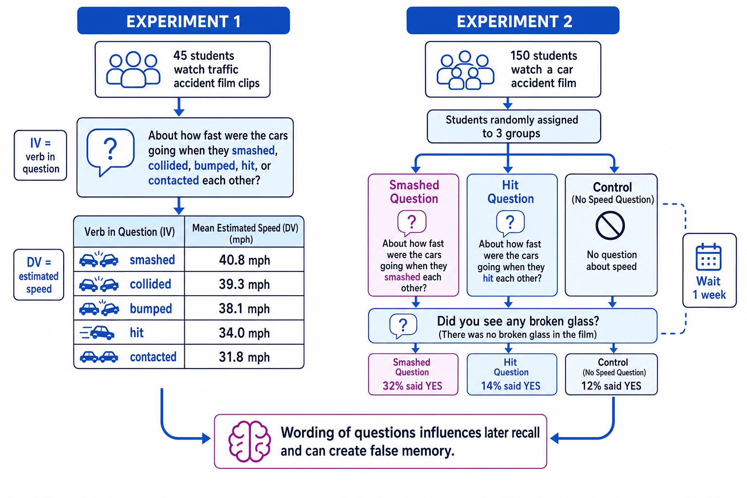 Flow diagram comparing Loftus and Palmer Experiment 1 and Experiment 2 with verb conditions, speed estimates, and broken-glass responses