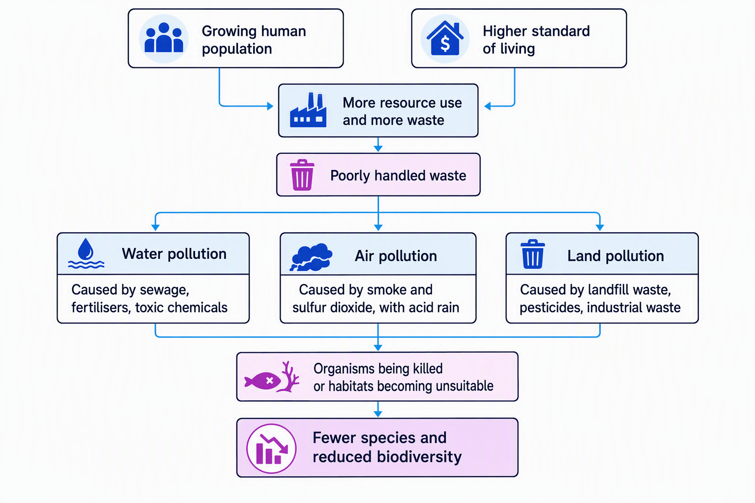 Flowchart showing how population growth and a higher standard of living lead to waste, pollution and reduced biodiversity