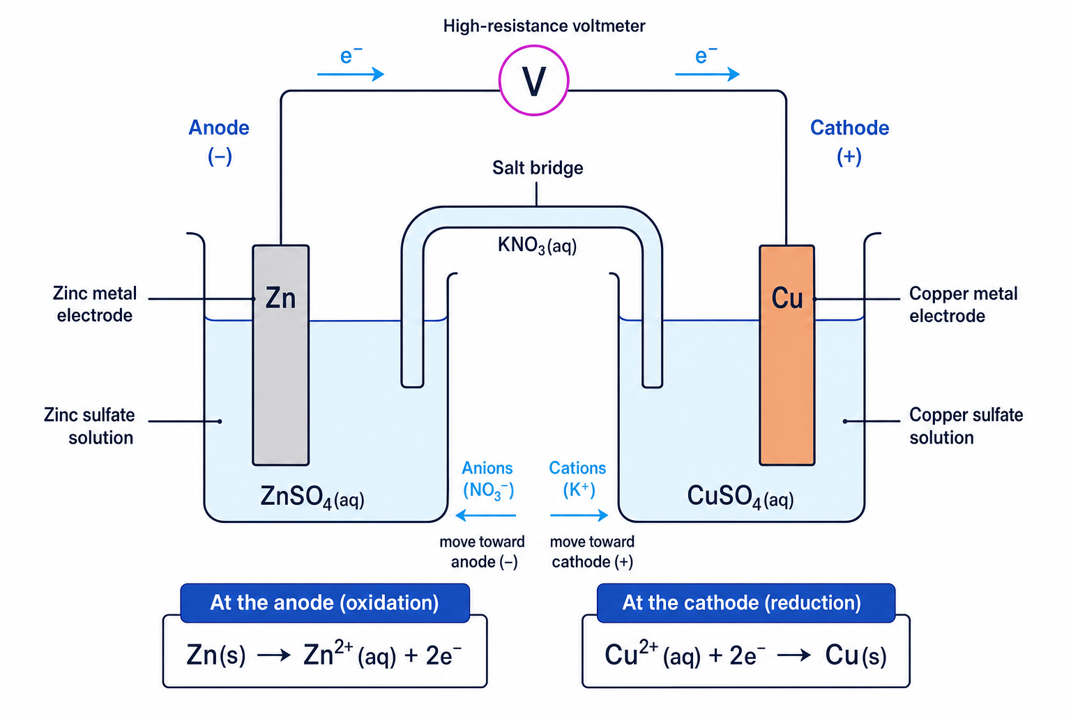 Labelled zinc-copper electrochemical cell showing zinc anode, copper cathode, electron flow through the wire, and ion movement in the salt bridge