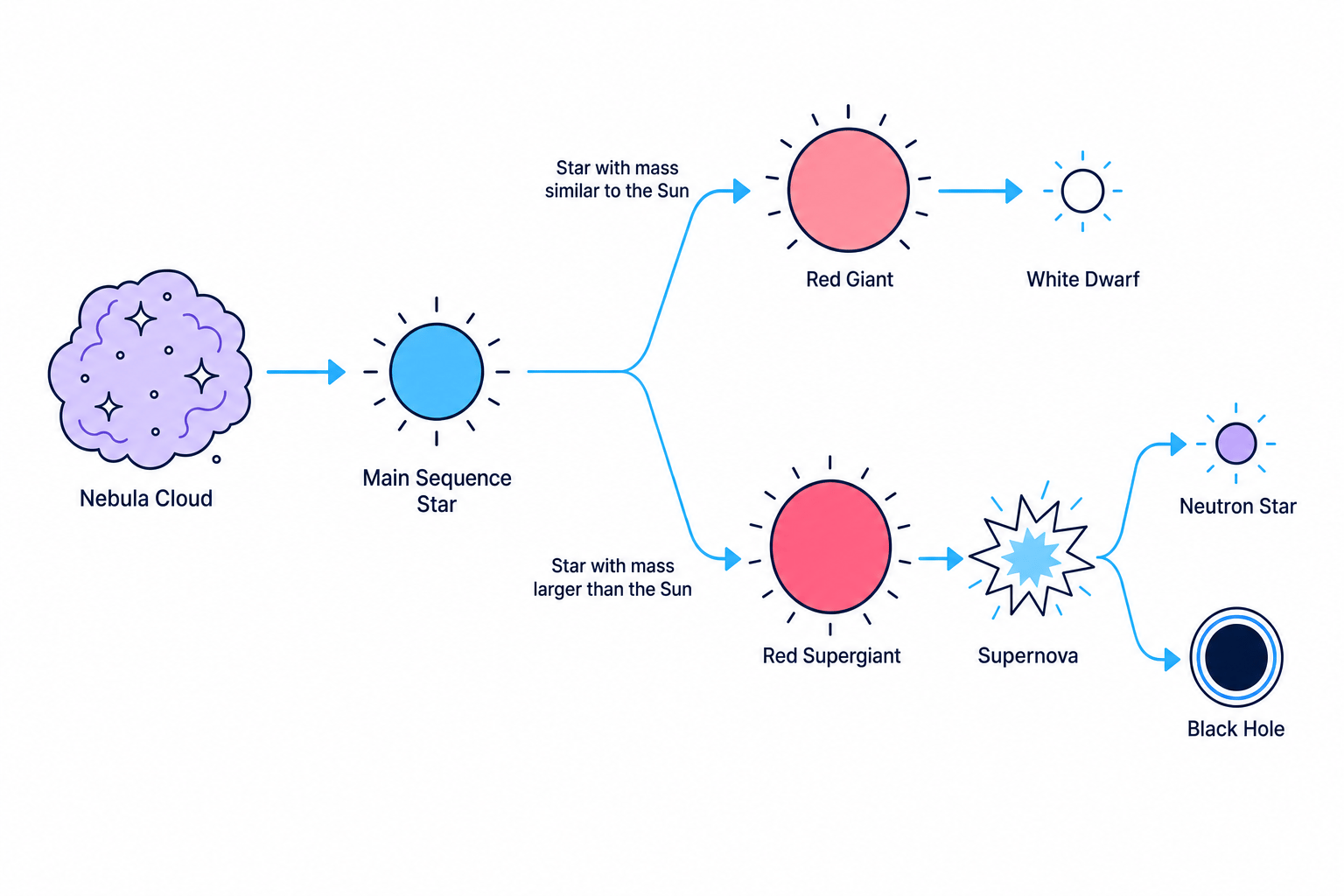 Flow chart of stellar evolution from nebula to main sequence, then splitting into a Sun-like path of red giant to white dwarf and a massive-star path of red supergiant to supernova, neutron star or black hole
