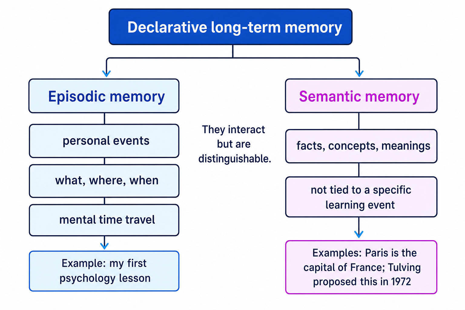 Comparison diagram of declarative long-term memory split into episodic and semantic branches with features and examples