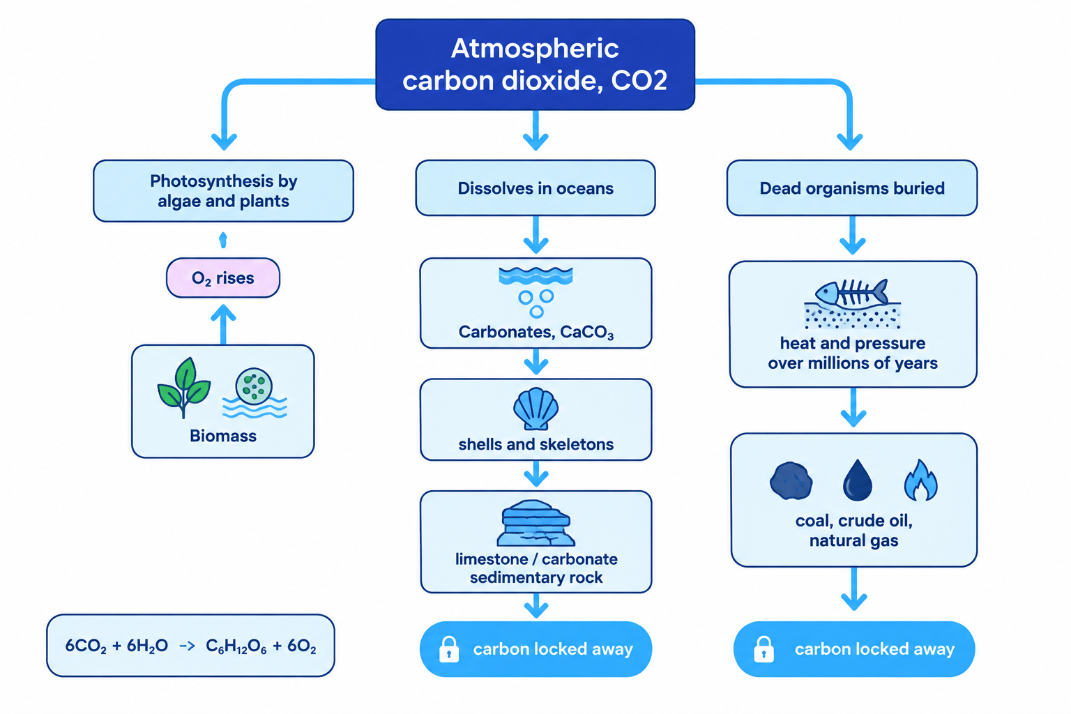 Flowchart showing photosynthesis, ocean dissolution and burial as three routes that moved carbon from atmospheric carbon dioxide into biomass, carbonate rock and fossil fuels