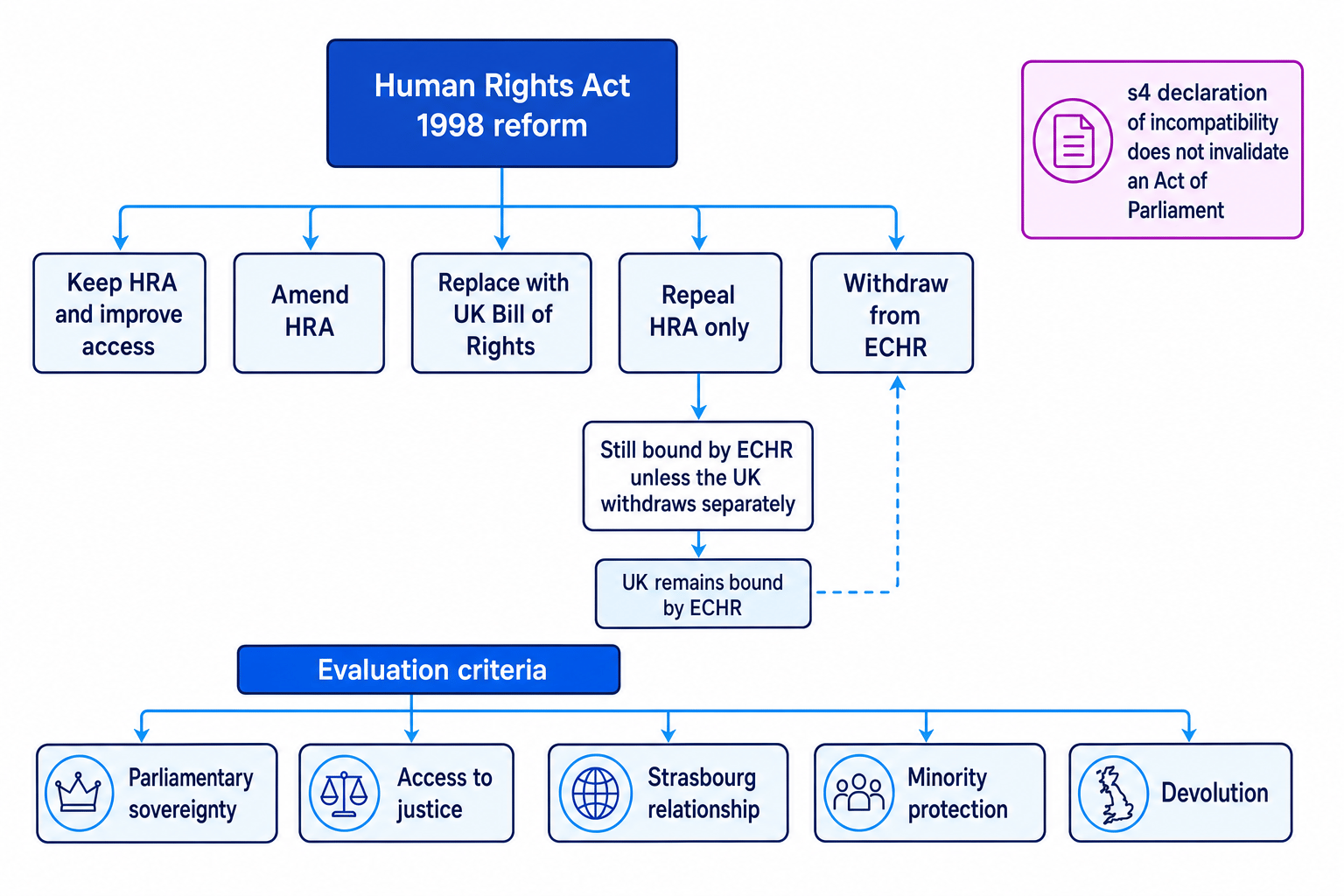 Concept map of UK human rights reform options and evaluation criteria