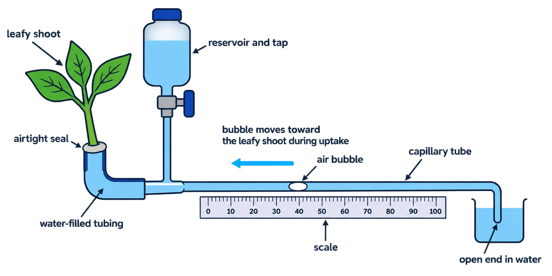 Labelled bubble potometer showing a leafy shoot sealed into water-filled tubing, a reservoir and tap, a scaled capillary tube, one air bubble, its direction of movement, and the open end in water