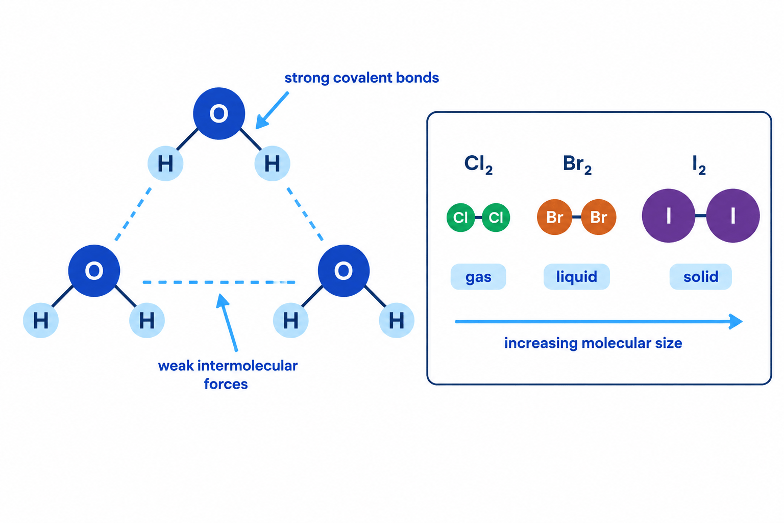 Diagram comparing strong covalent bonds within molecules with weak intermolecular forces between molecules, and showing increasing molecular size from chlorine to bromine to iodine