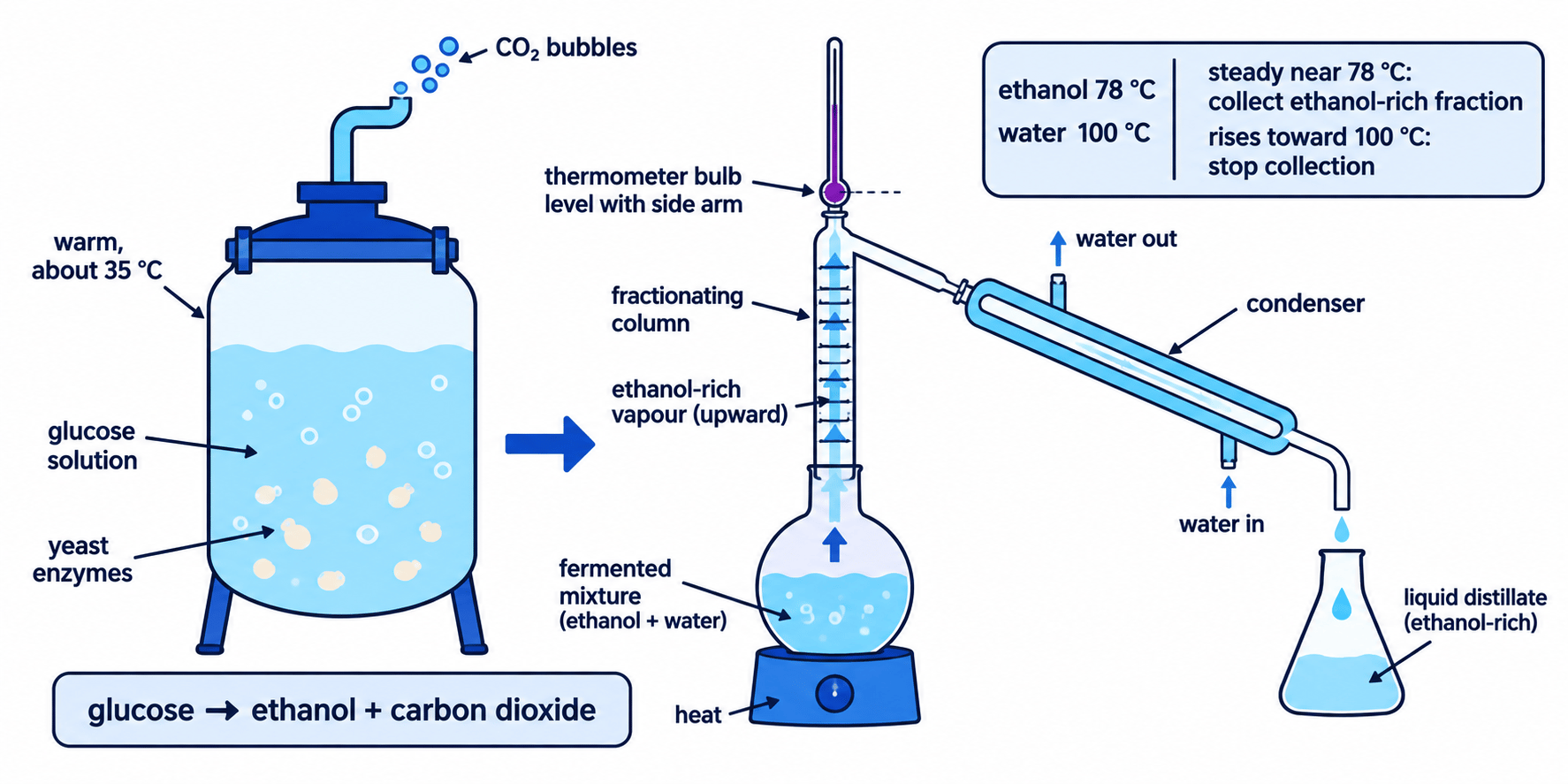 Fermentation vessel and fractional distillation apparatus showing yeast, carbon dioxide bubbles, boiling points, thermometer position, and collection temperatures