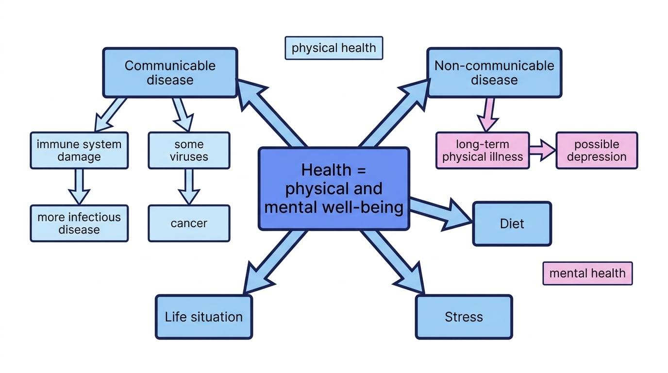 Concept map showing health as physical and mental well-being, linked to communicable disease, non-communicable disease, diet, stress, life situation, immune system damage, cancer and possible depression