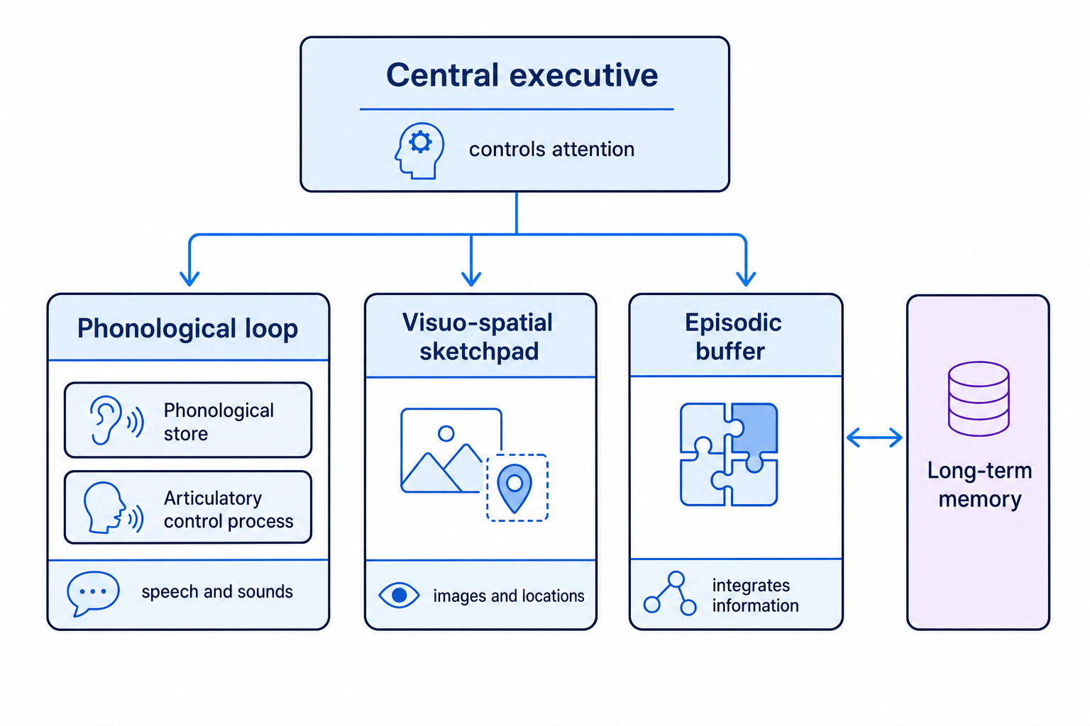Working memory model with central executive controlling the phonological loop, visuo-spatial sketchpad and episodic buffer, with long-term memory linked to the episodic buffer