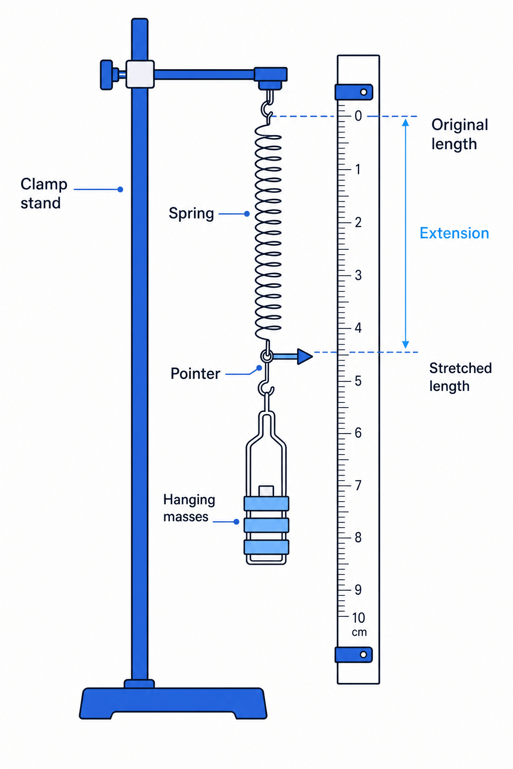 Labelled setup for measuring spring extension with a clamp stand, vertical spring, ruler, pointer, and hanging masses, showing original length and stretched length
