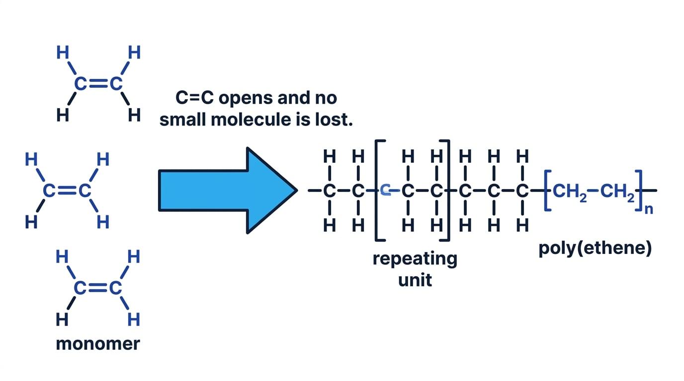 Ethene monomers joining to form a poly(ethene) chain, with the C=C bond opening and a bracketed repeating unit labelled