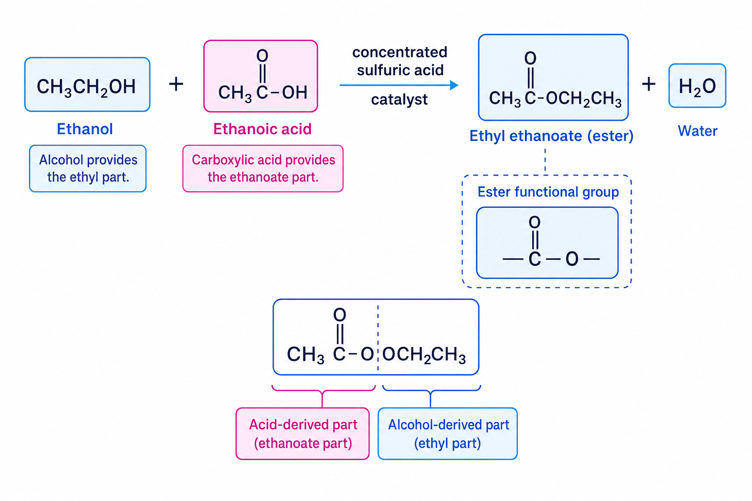 Reaction diagram showing ethanol plus ethanoic acid forming ethyl ethanoate and water, with the ester functional group and the acid-derived and alcohol-derived parts labelled