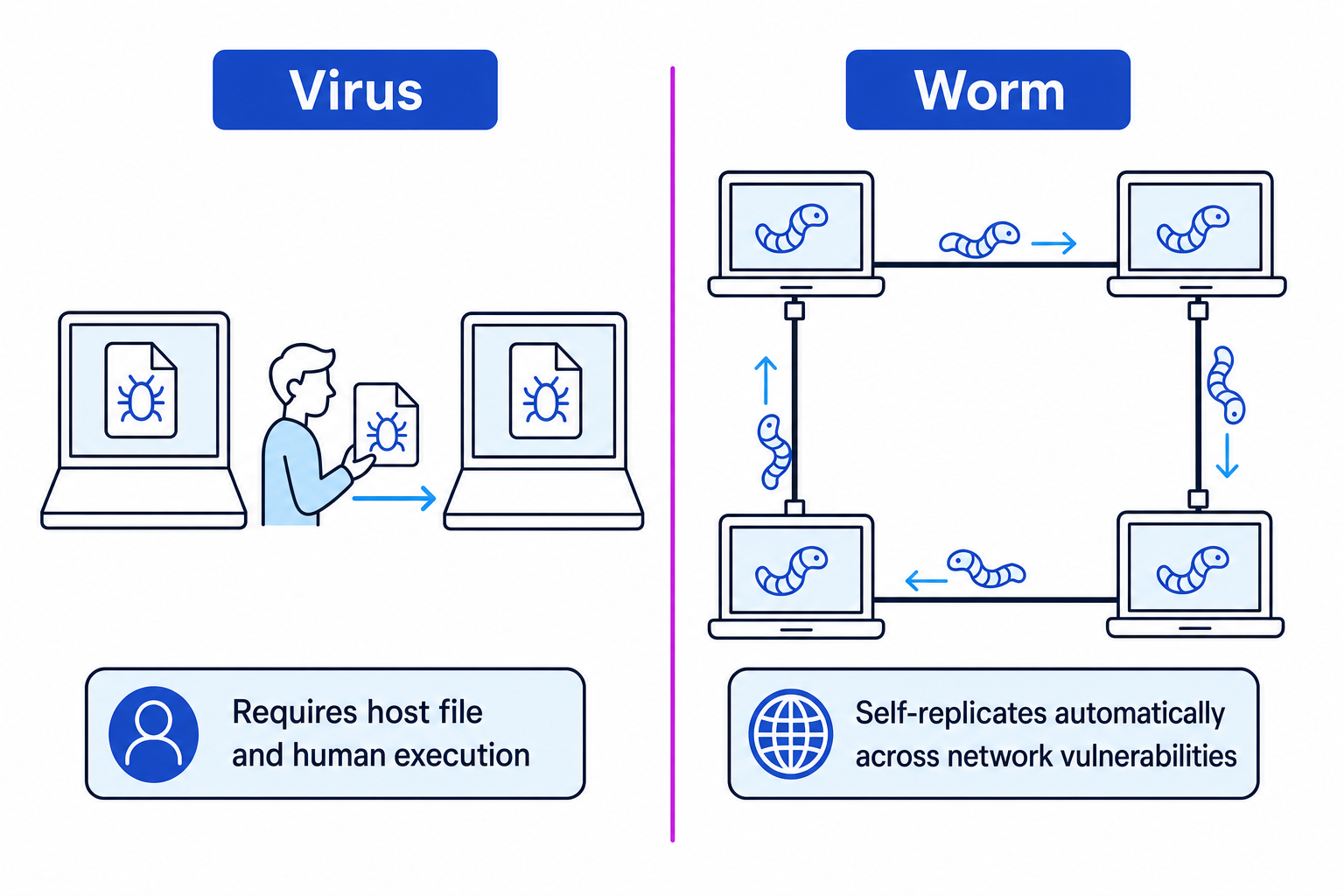 Comparison of Virus and Worm propagation