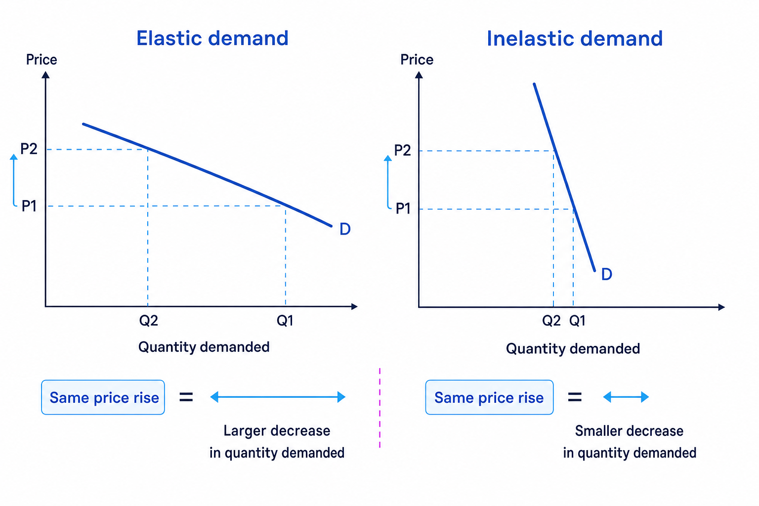 Two demand curve graphs comparing elastic and inelastic demand, with the same price rise causing a larger quantity fall on the elastic curve and a smaller quantity fall on the inelastic curve