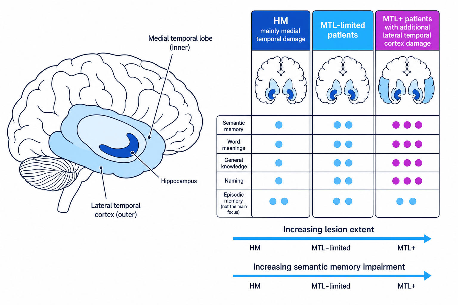 Brain diagram showing medial temporal lobe and lateral temporal cortex, plus comparison of HM, MTL-limited, and MTL+ patients with increasing semantic memory impairment
