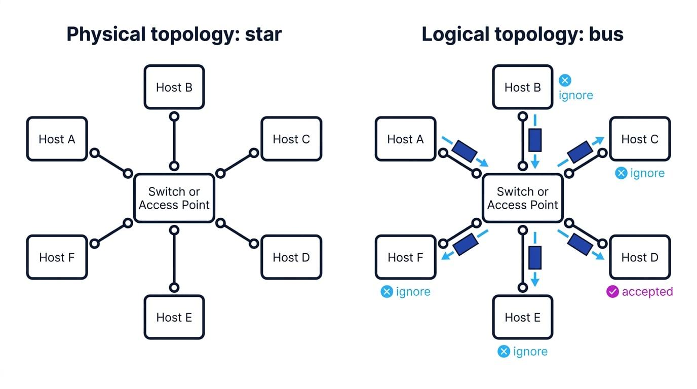 Comparison of a physical star topology, where six hosts connect to a central switch or access point, and a logical bus topology, where a frame from one host is made available to all hosts and only the addressed host accepts it