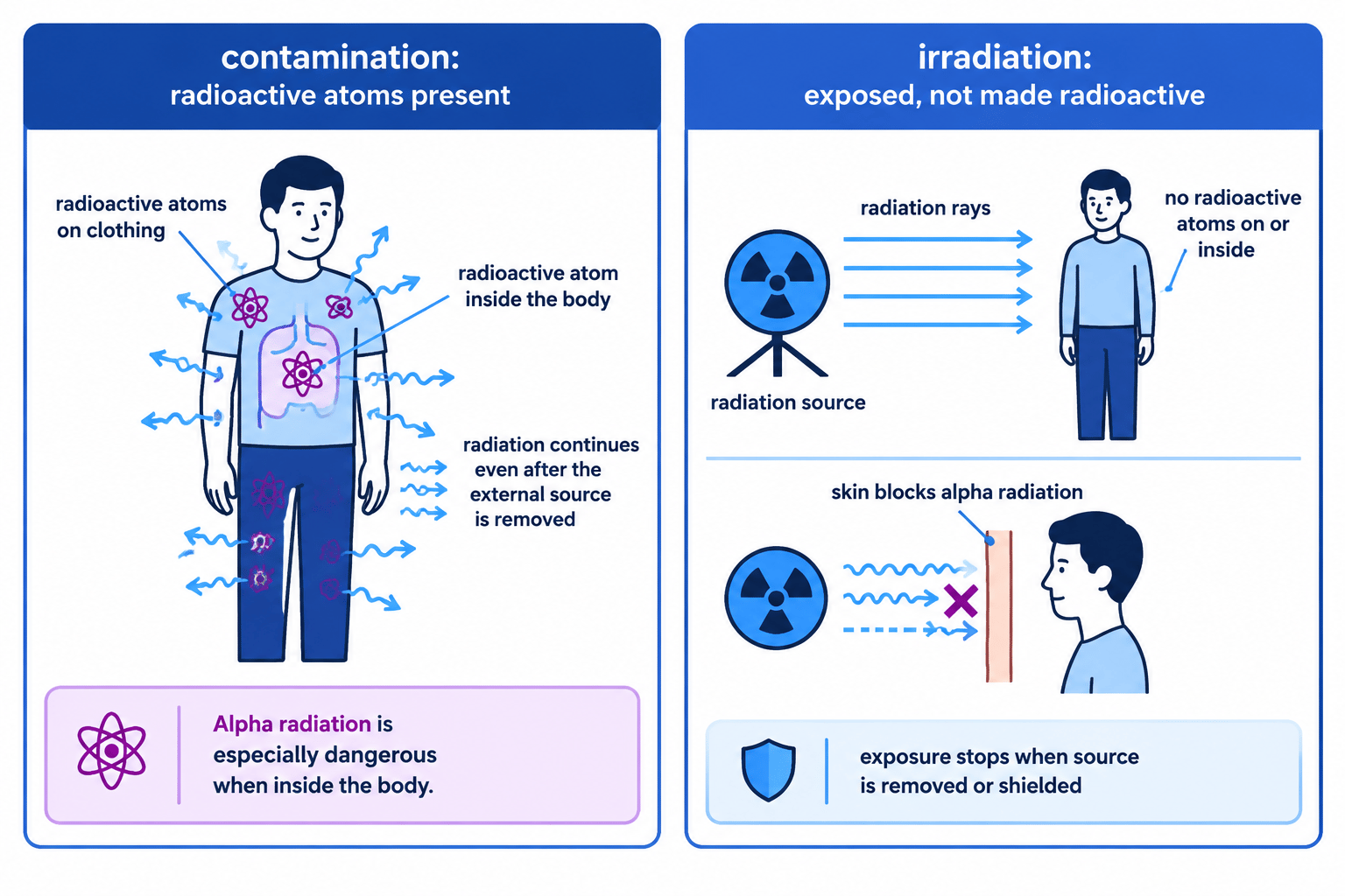 Comparison of radioactive contamination and irradiation, showing radioactive atoms remaining present during contamination but not after irradiation
