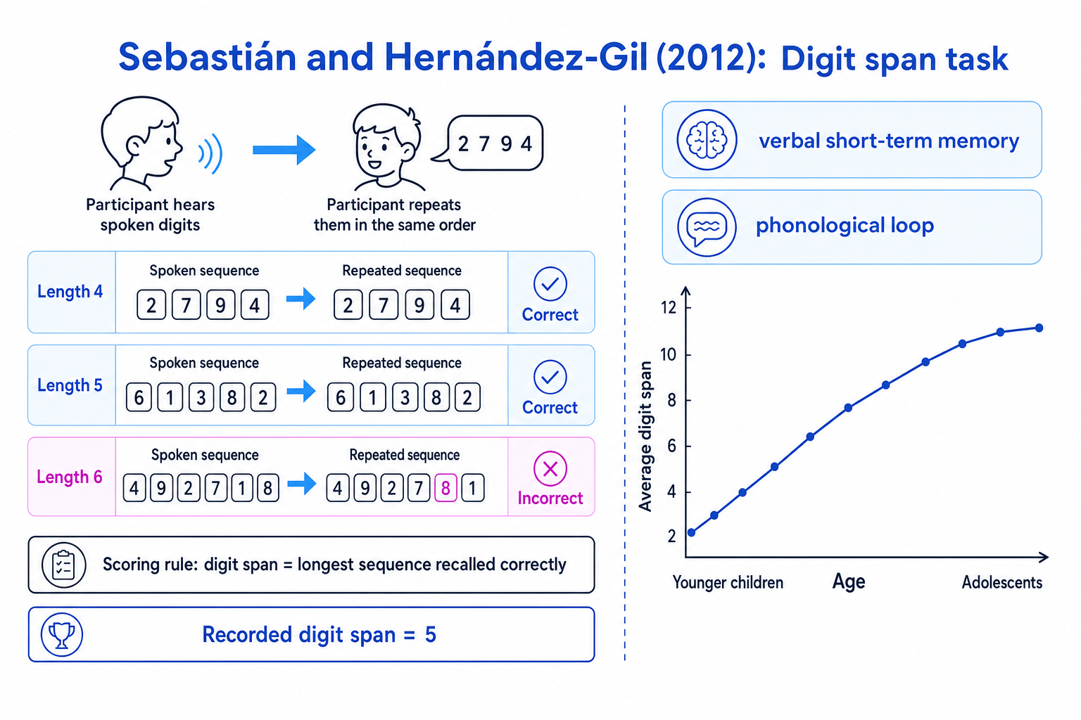 Digit span task showing increasing sequence length, the scoring rule, and average digit span rising from younger children to adolescents
