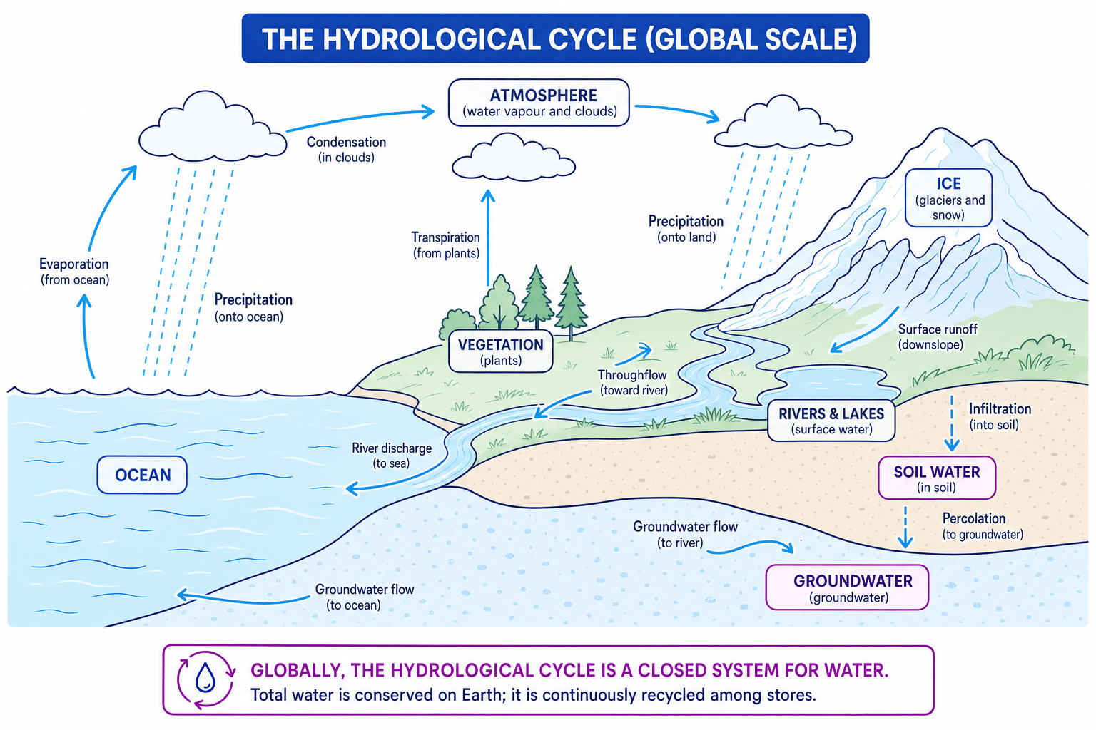 Labelled global hydrological cycle showing ocean, atmosphere, land, groundwater and arrows for major transfers