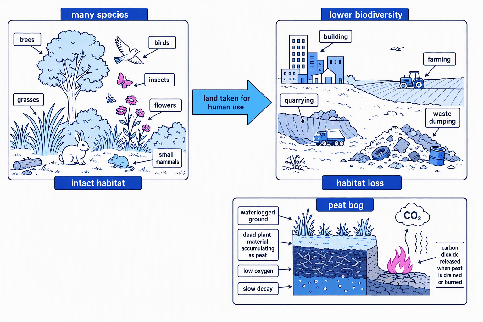 Diverse natural habitat compared with land used for building, farming, quarrying, waste dumping, and peat bog destruction