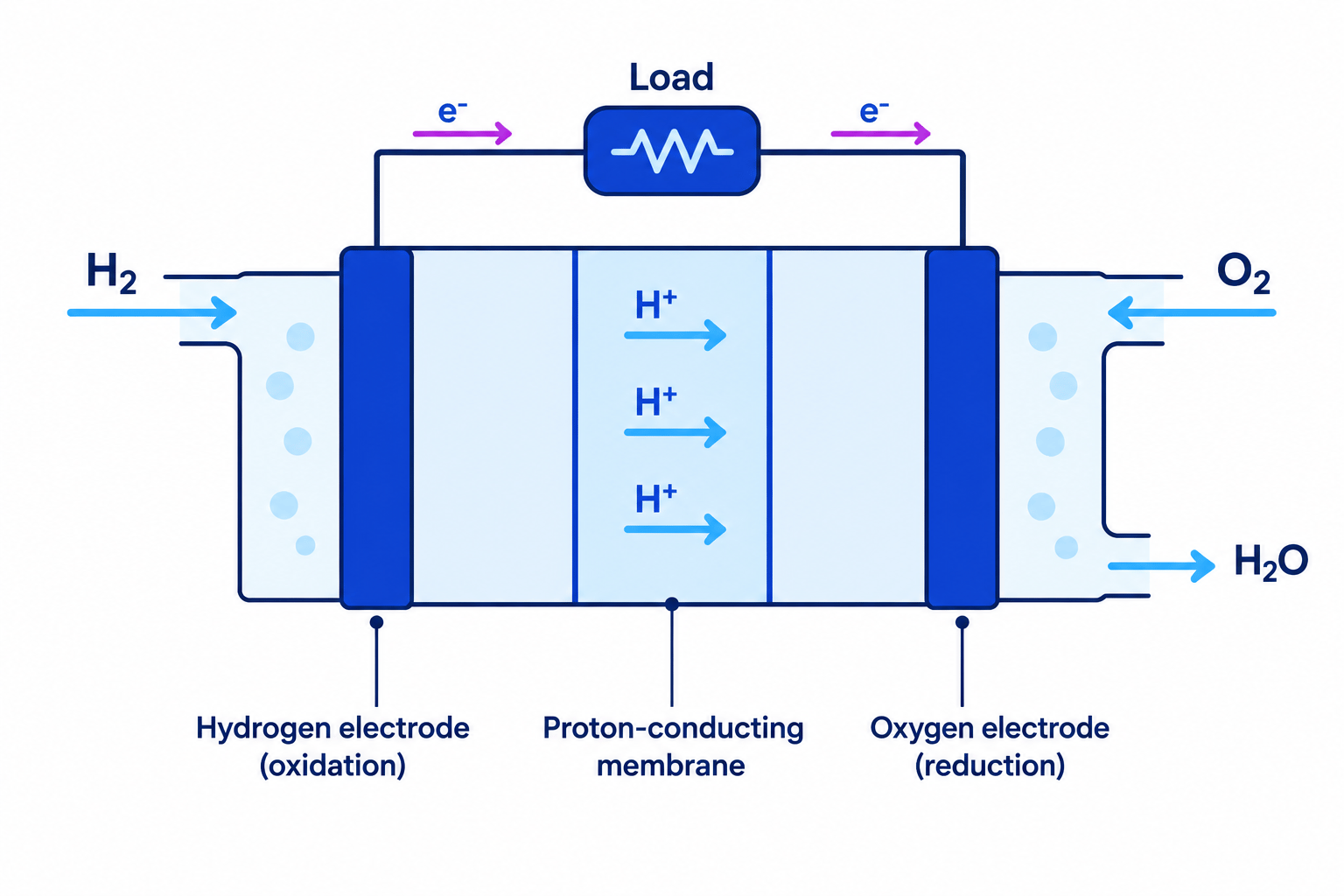 Hydrogen enters the left electrode, where electrons travel through an external wire to the right electrode; hydrogen ions cross a central membrane, and oxygen enters the right electrode where water leaves