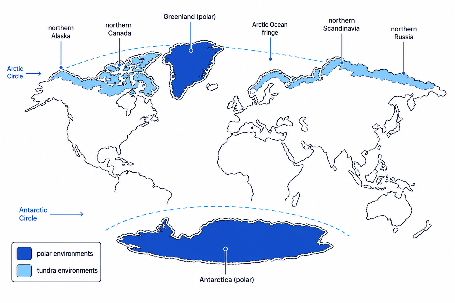 World map showing Antarctica and Greenland as polar environments and northern Alaska, Canada, Scandinavia and Russia as tundra zones, with the Arctic and Antarctic Circles labelled