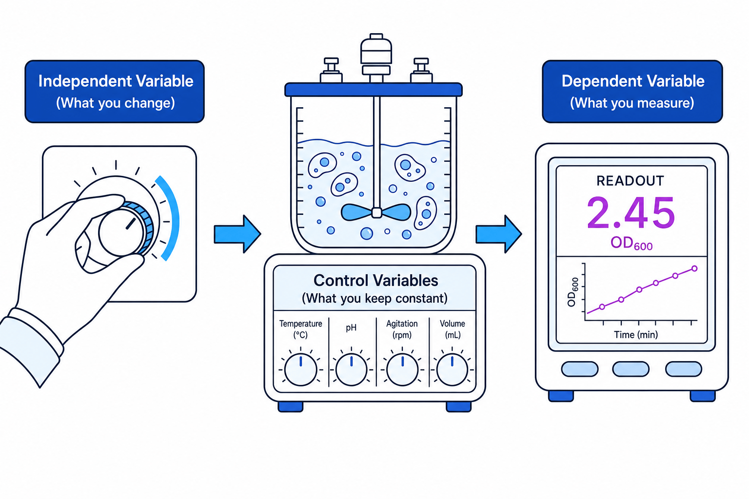 Relationship between Independent, Dependent, and Control Variables