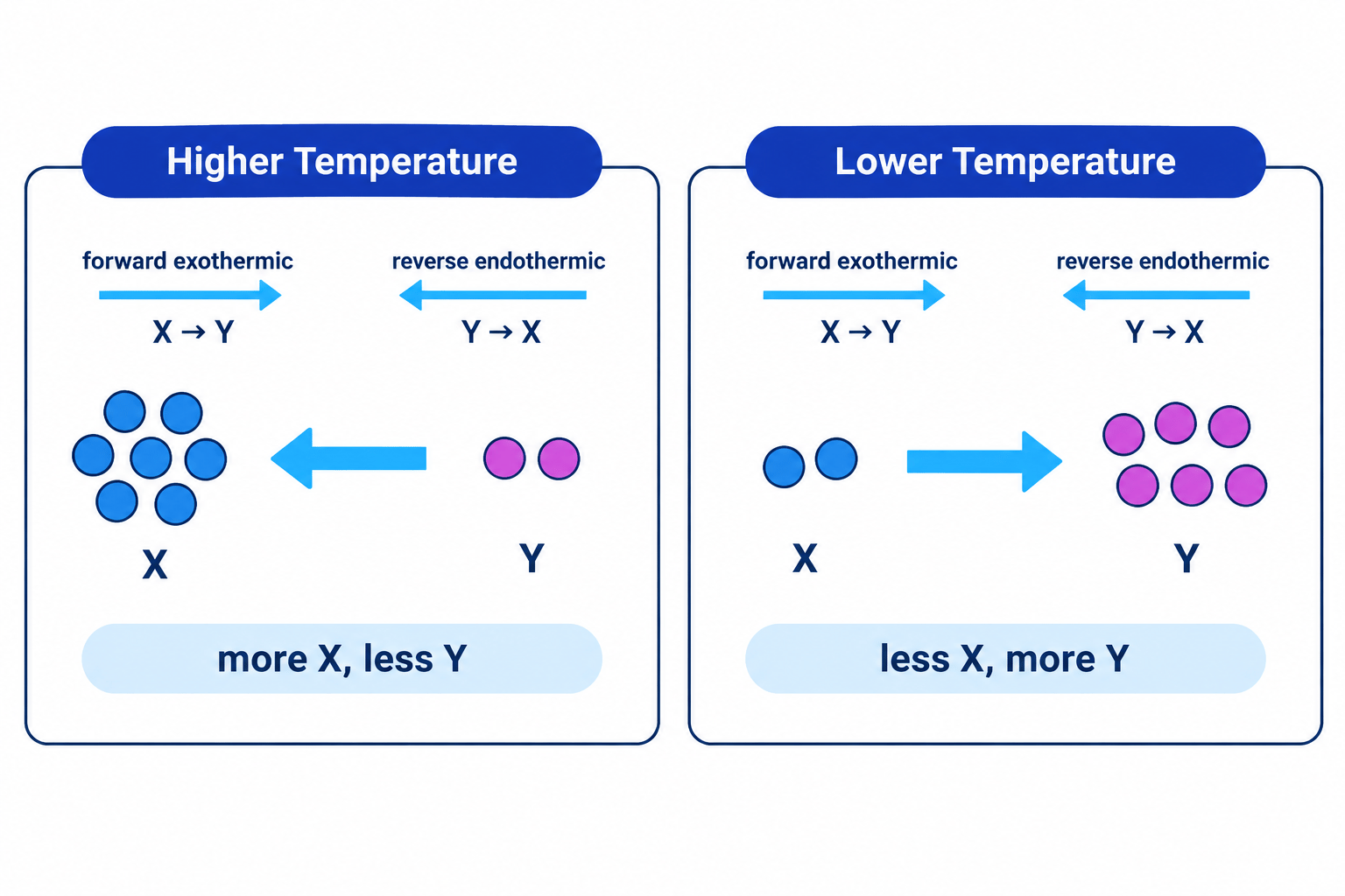 Diagram showing how temperature changes affect equilibrium for an exothermic forward reaction