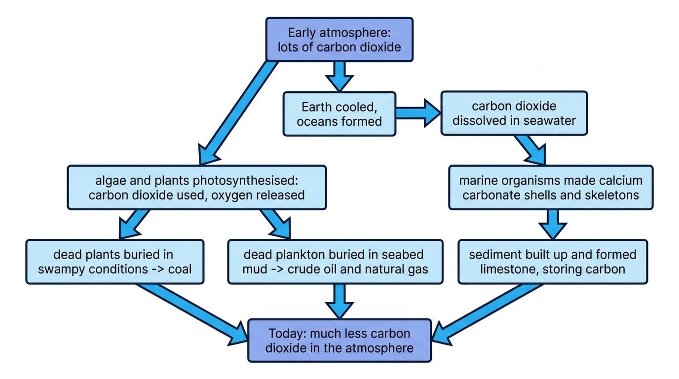 Flow chart showing carbon dioxide moving from the early atmosphere into oceans, limestone and fossil fuels