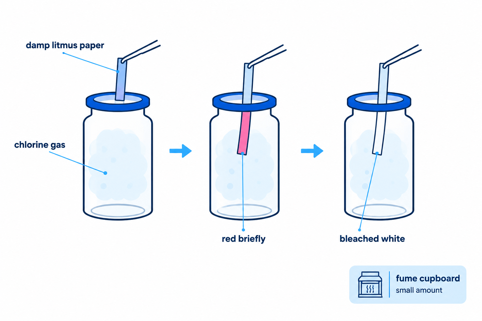 Labelled test for chlorine showing damp blue litmus paper turning red briefly before being bleached white