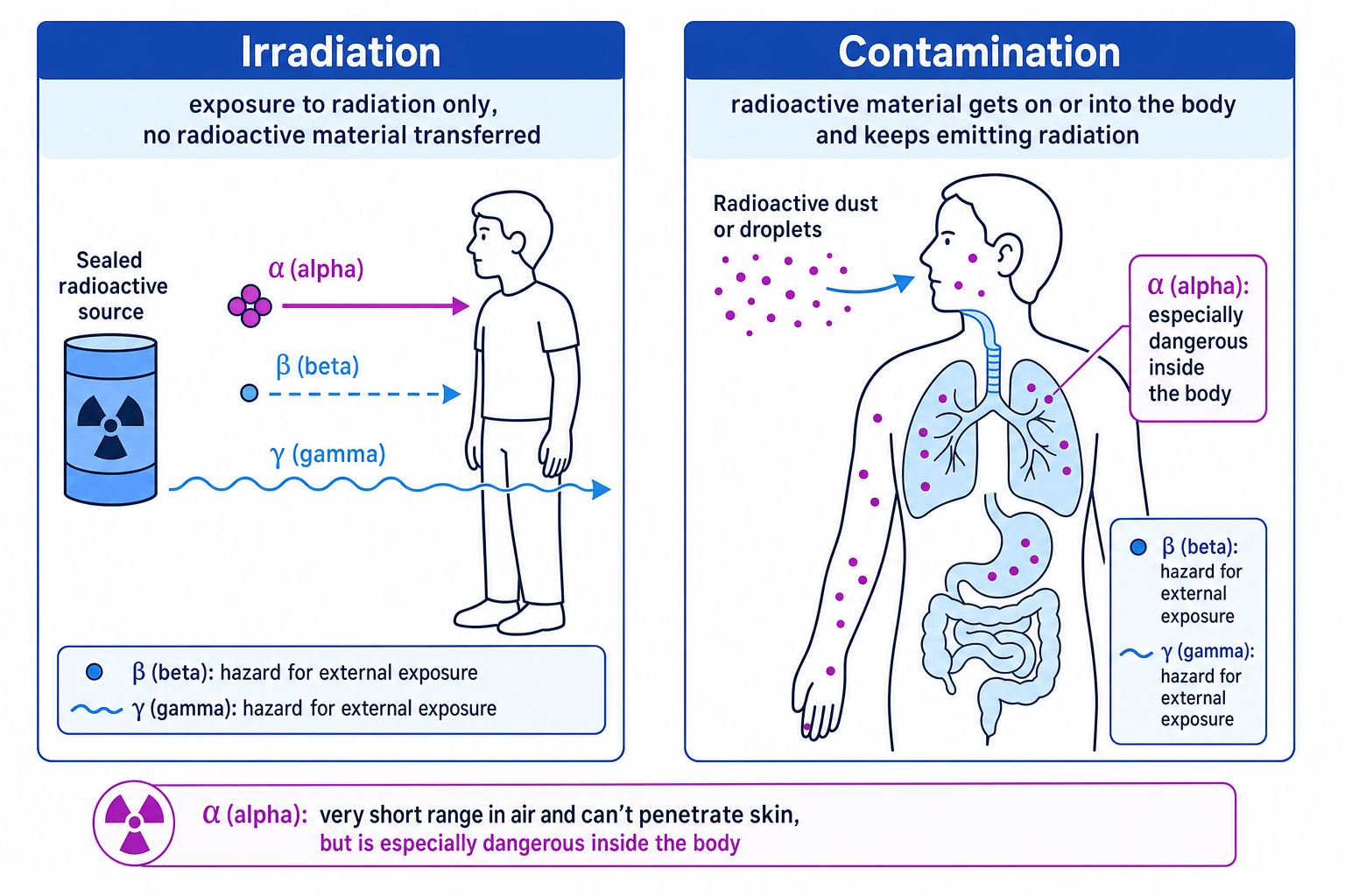 Side by side comparison of irradiation from a sealed source and contamination by radioactive dust entering the body