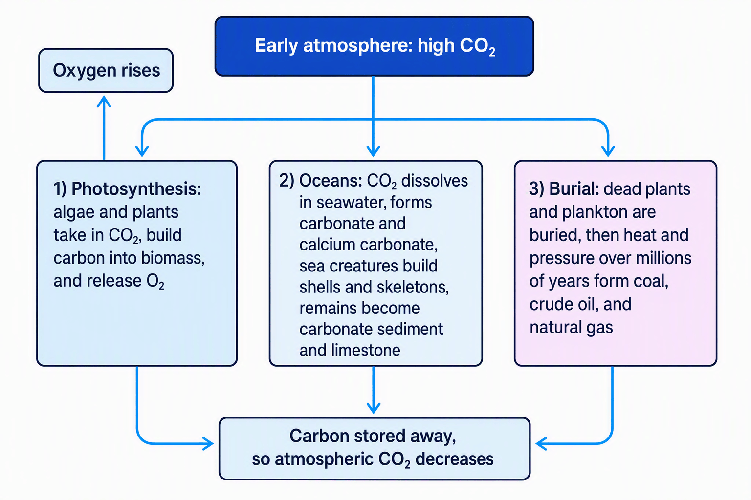 Flowchart showing carbon dioxide moving from the early atmosphere into plant and algal biomass, ocean carbonates and limestone, and buried fossil fuels