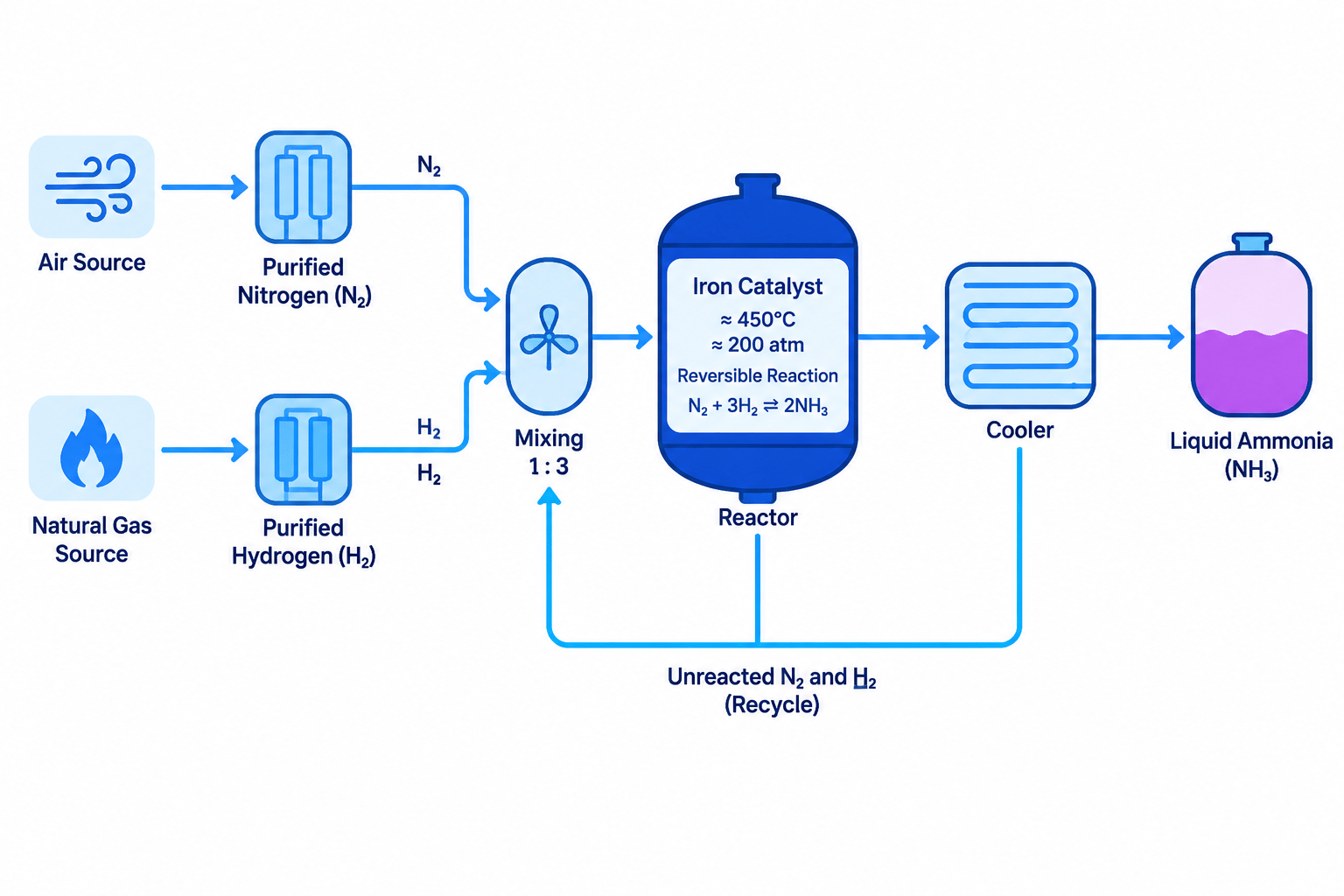 Flowchart of the Haber process showing nitrogen from air and hydrogen from natural gas entering a reactor, ammonia being separated, and unreacted gases being recycled