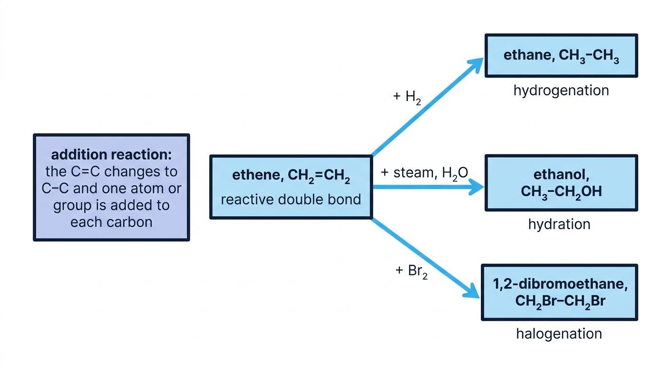 Reaction scheme showing ethene reacting by addition with hydrogen to form ethane, with steam to form ethanol, and with bromine to form 1,2-dibromoethane, with the C=C double bond labelled as the reactive part