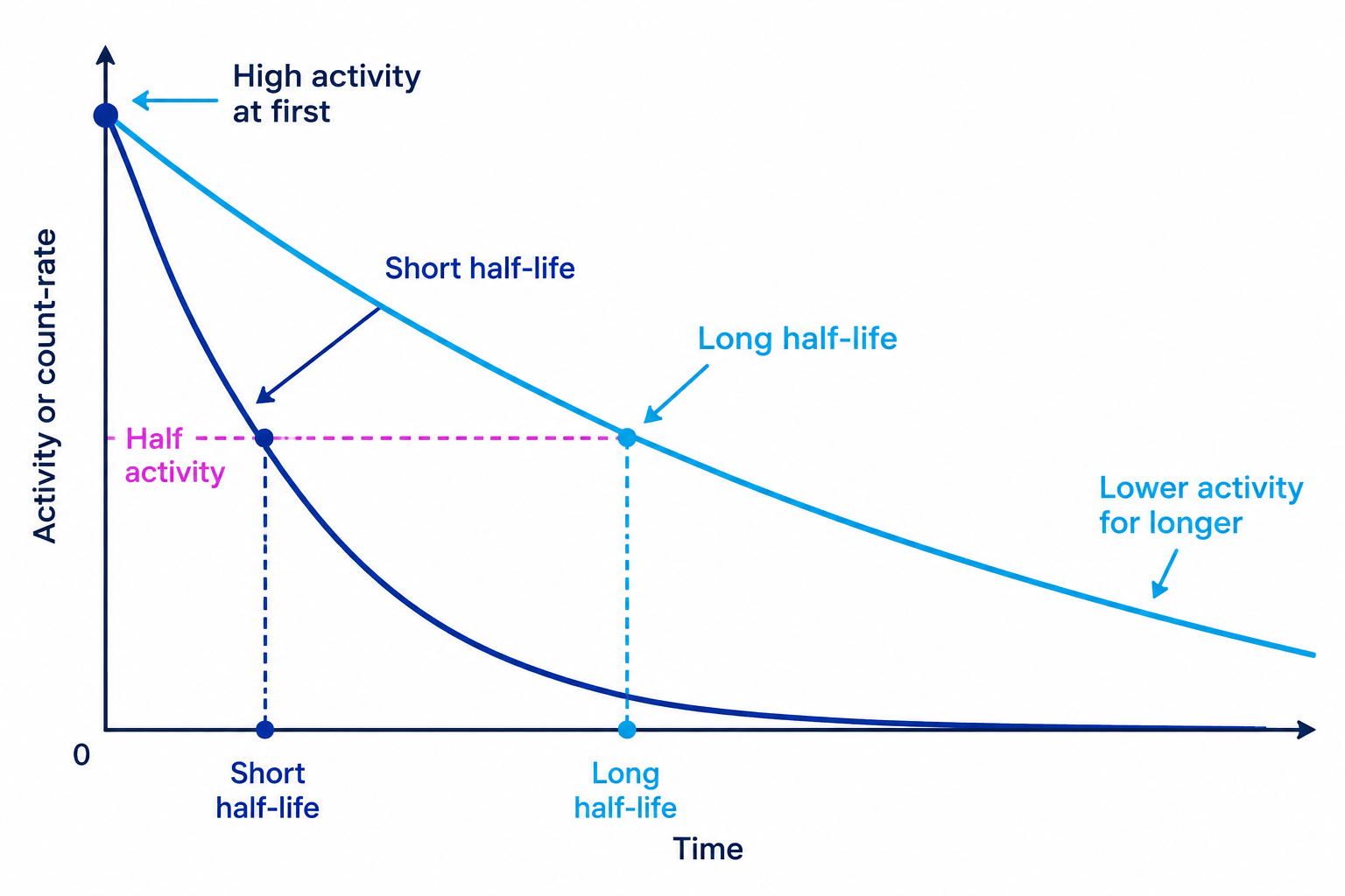 Graph comparing a steep activity decay for a short-half-life isotope with a gradual decay for a long-half-life isotope