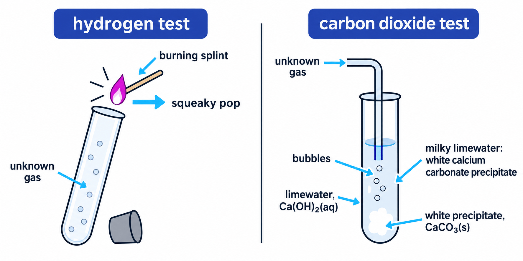 Diagram showing the burning splint test for hydrogen and the limewater test for carbon dioxide