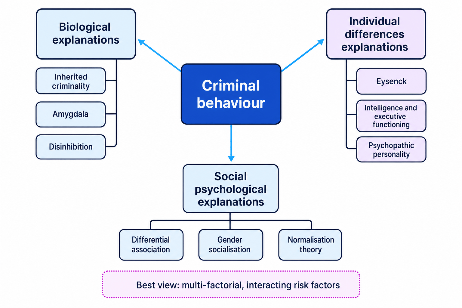 Concept map linking criminal behaviour to biological, individual differences, and social psychological explanations, with examples under each.