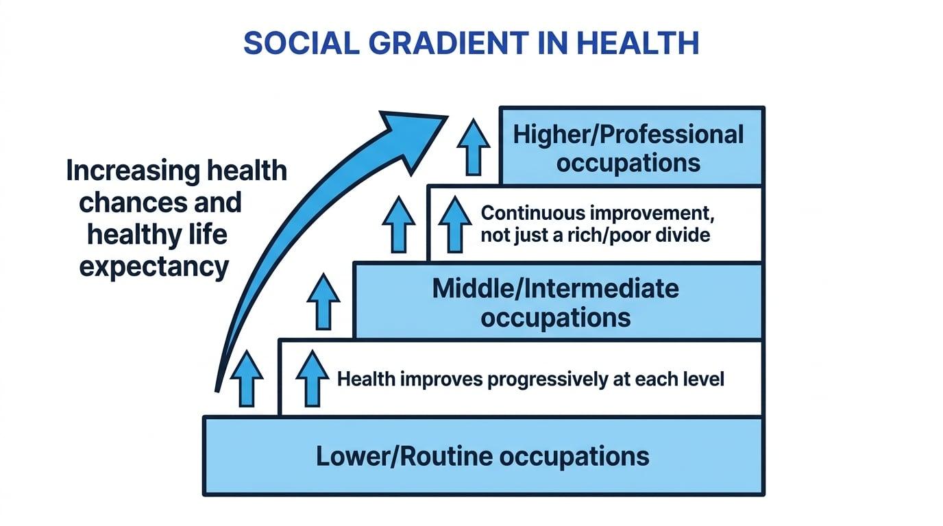 The social gradient in health showing how health chances improve progressively at each step of the social hierarchy rather than just representing a divide between the rich and the poor.