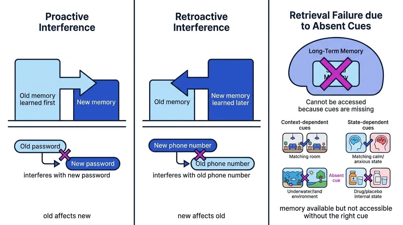 Schematic comparing proactive interference, retroactive interference, and retrieval failure with context and state cues labelled
