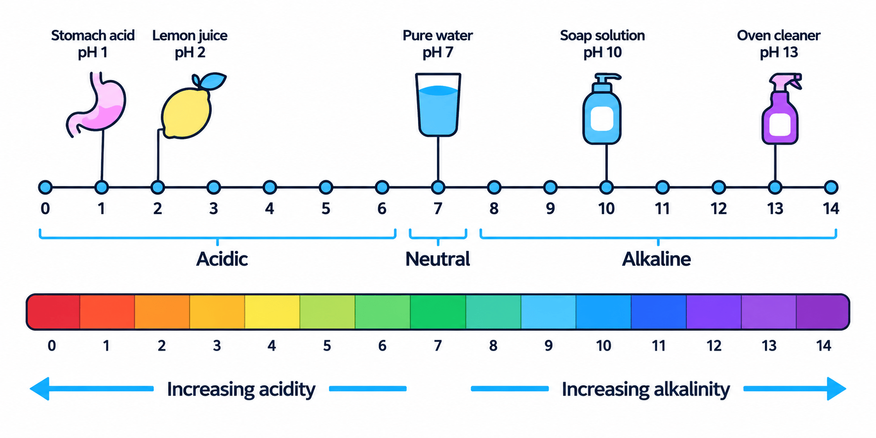 pH scale from 0 to 14 showing acidic, neutral and alkaline regions, example substances, and universal indicator colours