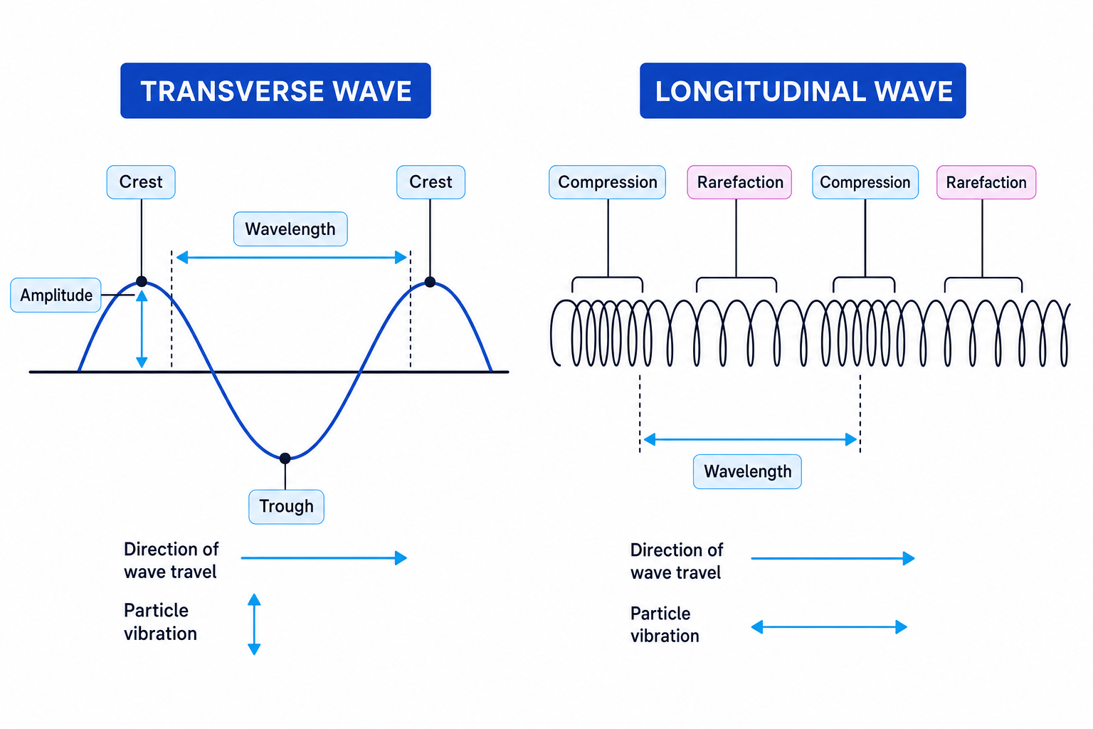 Comparison of transverse and longitudinal waves with amplitude, wavelength, crests, troughs, compressions, rarefactions, and vibration directions labelled