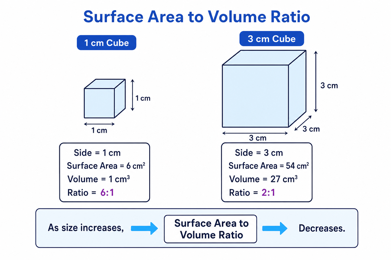 Surface area to volume ratio comparison of 1cm and 3cm cubes