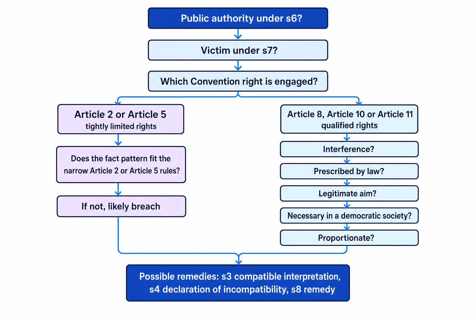 Flowchart showing the Human Rights Act route from s6 public authority and s7 victim to limited and qualified rights tests, with s3, s4 and s8 outcomes